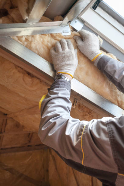 Best Insulation Repair Services  in Mountain Lodge Park, NY