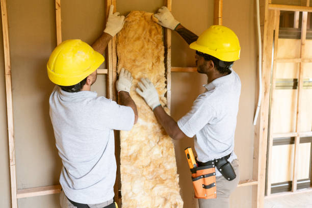 Best Insulation Inspection Services  in Mountain Lodge Park, NY